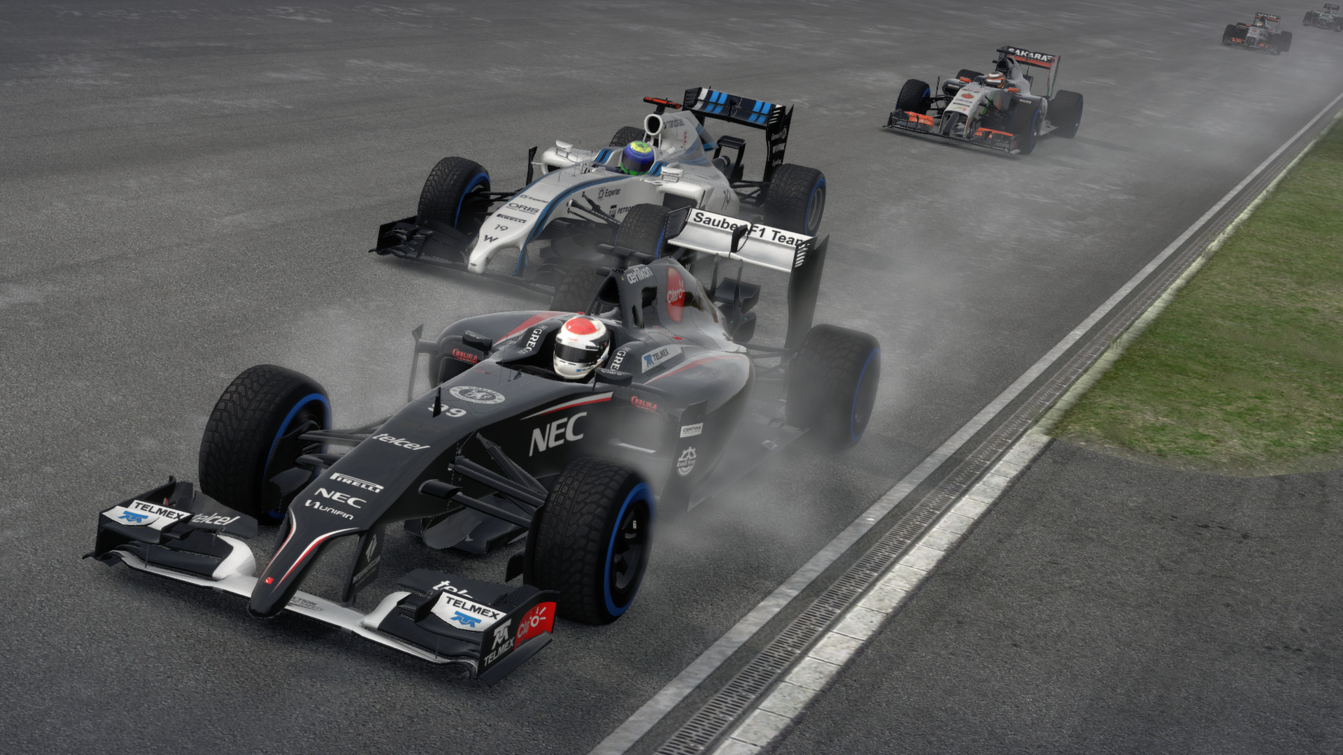 F1-2014-3.jpg