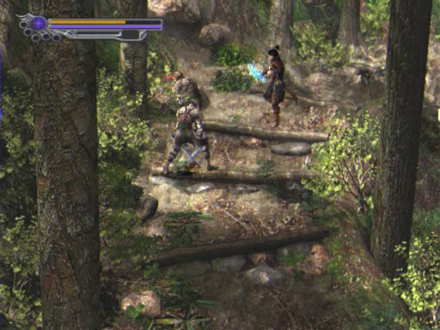 Onimusha-2-Samurais-Destiny-1.jpg