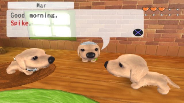 The-Dog-Island-PS2-4.jpg