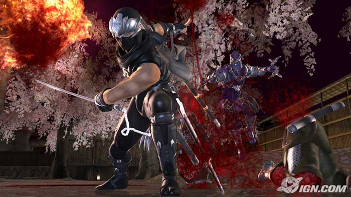 ninja-gaiden-2-screenshots-20071221100124966.jpg